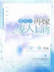 重生之再嫁末路上將