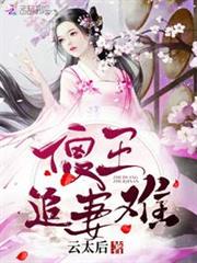 傻王追妻難 傻王追妻難