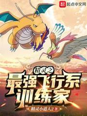 精靈之最強飛行系訓練家 精靈之最強飛行系訓練家