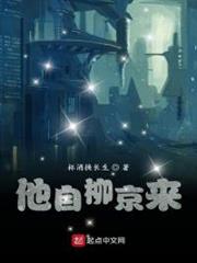 他自柳京來 他自柳京來