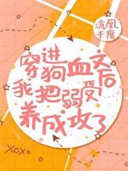 穿進狗血文弱受成攻了 穿進狗血文弱受成攻了