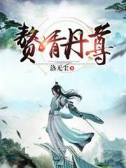 贅婿丹尊 贅婿丹尊