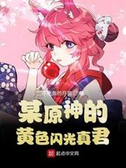 某原神的黃色閃光真君 某原神的黃色閃光真君