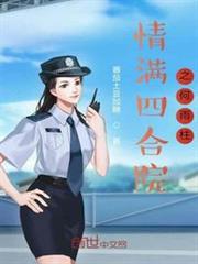 情滿四合院之何雨柱 情滿四合院之何雨柱