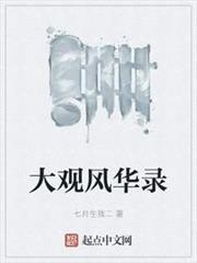 大觀風華錄 大觀風華錄
