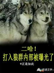 二哈!打入狼群內部被曝光了 二哈!打入狼群內部被曝光了
