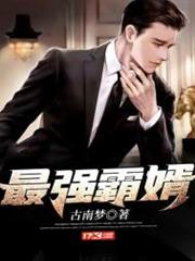 最強霸婿 最強霸婿