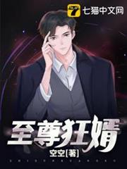 至尊狂婿 至尊狂婿