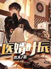 醫婿葉辰 醫婿葉辰