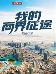 我的商界征途 我的商界征途