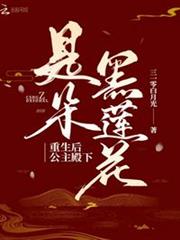 重生後公主殿下是朵黑蓮花