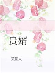 貴婿 貴婿