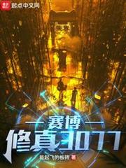賽博修真3077 賽博修真3077