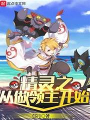 精靈之從做領主開始 精靈之從做領主開始
