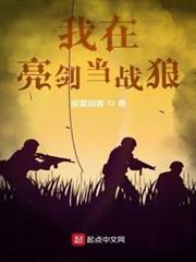 我在亮劍當戰狼 我在亮劍當戰狼