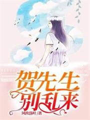 賀先生別亂來 賀先生別亂來