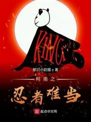 柯南之忍者難當 柯南之忍者難當