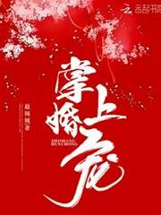 掌上婚寵 掌上婚寵