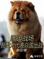 國運遊戲之我獒犬代表焱國出戰 國運遊戲之我獒犬代表焱國出戰
