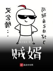 賊婿 賊婿