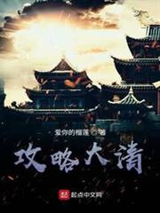 攻略大清 攻略大清