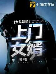女總裁的上門女婿