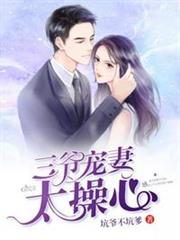 三爺寵妻太操心 三爺寵妻太操心