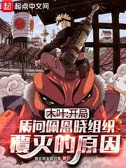 木葉：開局質問佩恩曉組織覆滅的原因（綜漫：從質問佩恩開始的流浪忍界）