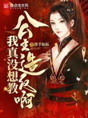 我真沒想教公主造反啊 我真沒想教公主造反啊