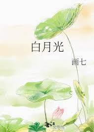 白月光 白月光