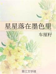 星星落在墨色里 星星落在墨色里