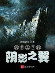 光明之下的陰影之翼 光明之下的陰影之翼