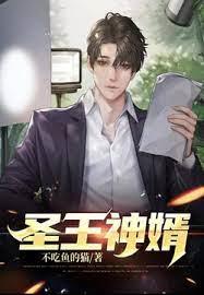 聖王神婿 聖王神婿
