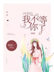親愛的,我不等你了 親愛的,我不等你了