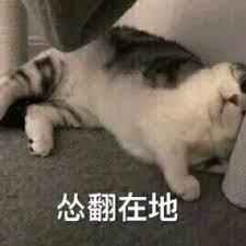 獨占小慫包 獨占小慫包