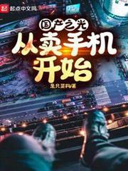 國產之光:從賣手機開始 國產之光:從賣手機開始