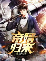 帝婿歸來 帝婿歸來