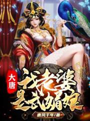 大唐:我老婆是武媚娘 大唐:我老婆是武媚娘