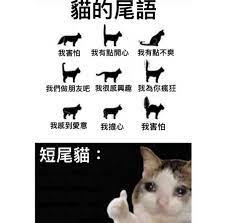 不會有人覺得直播除妖很容易吧