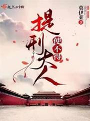 提刑大人使不得 提刑大人使不得