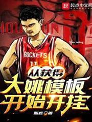 從獲得大姚模板開始開掛