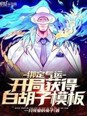 綁定氣運:開局獲得白鬍子模板 綁定氣運:開局獲得白鬍子模板