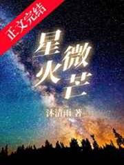 星火微芒 星火微芒