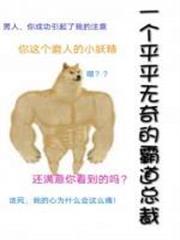 一個平平無奇的霸道總裁