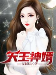 天王神婿 天王神婿