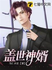 蓋世神婿 蓋世神婿