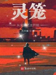 靈籠:從光影之主開始 靈籠:從光影之主開始
