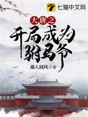 大唐之開局成為駙馬爺 大唐之開局成為駙馬爺