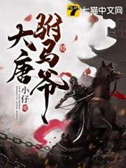 大唐駙馬爺 大唐駙馬爺
