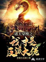 諸天穿梭之我才是反派大佬 諸天穿梭之我才是反派大佬